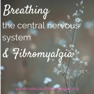 breathing, the central nervous system and fibromyalgia