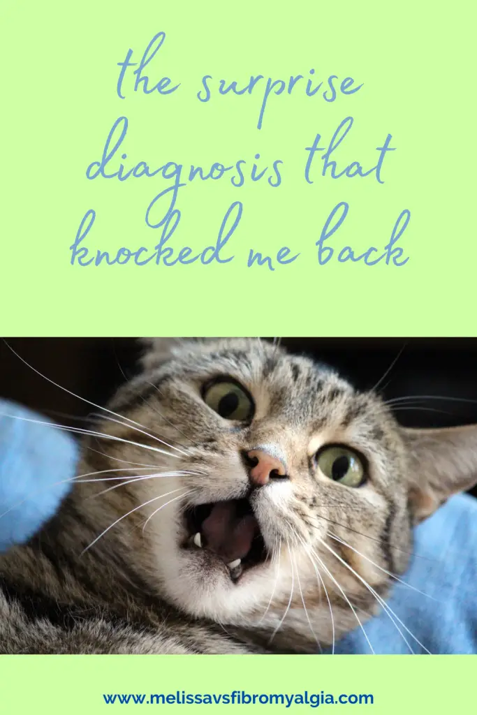 the surprise diagnosis that's knocked me back, cat with surprised look