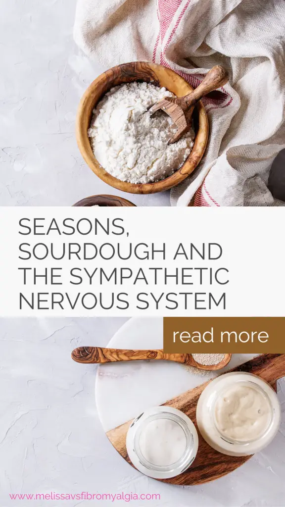 seasons sourdough and the sympathetic nervous system
